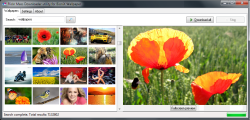 Download Flickr Wallpaper Mass Downloader tool is freeware.